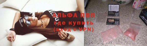 дмт Болотное