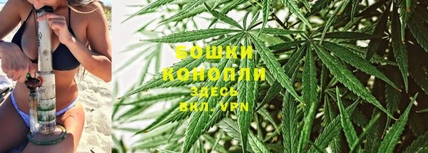 2c-b Новодвинск