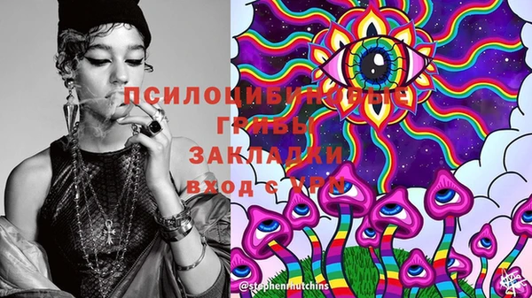 стафф Нягань