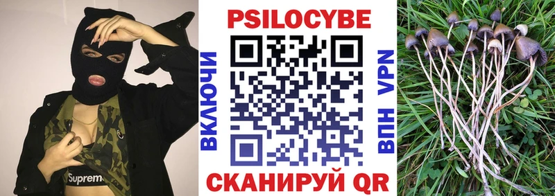 shop как зайти  Зеленокумск  Псилоцибиновые грибы мухоморы  цена  
