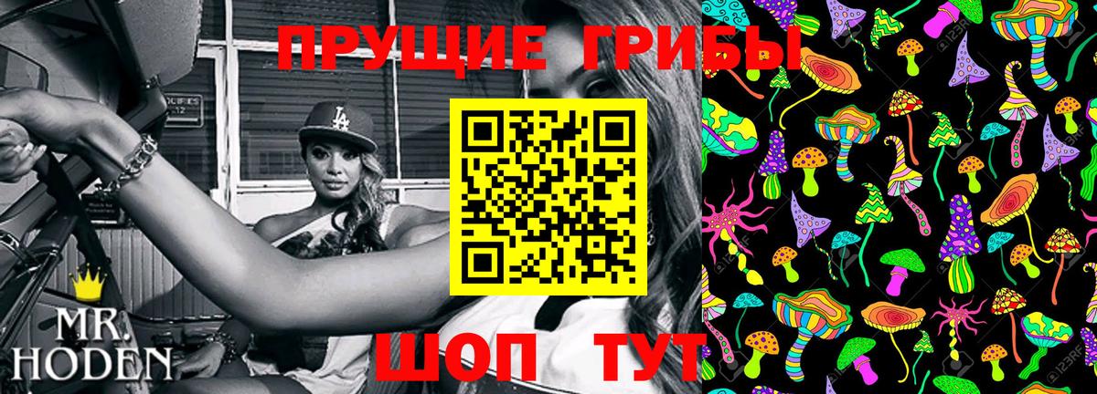 Псилоцибиновые грибы GOLDEN TEACHER  Галлюциногенные грибы Psilocybe  Зеленокумск  Вход с VPN 